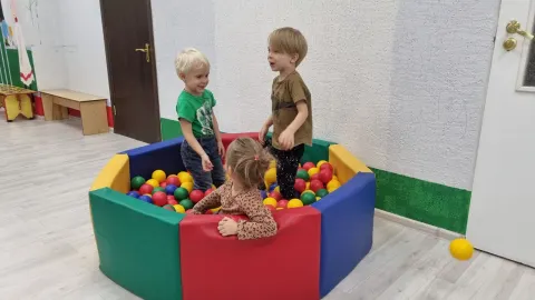 Малыши в сухом бассейне